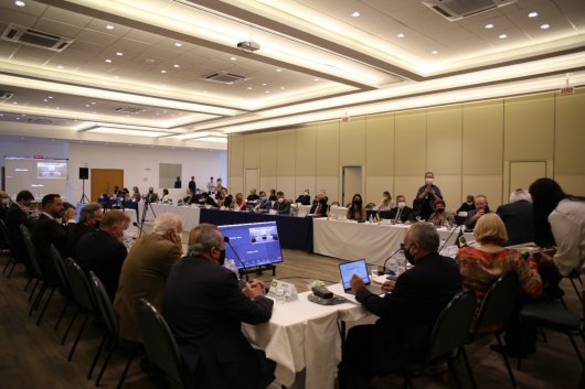 Nucleovet participa de reunião da Câmara de Presidentes do Sistema CFMV/CRMVs