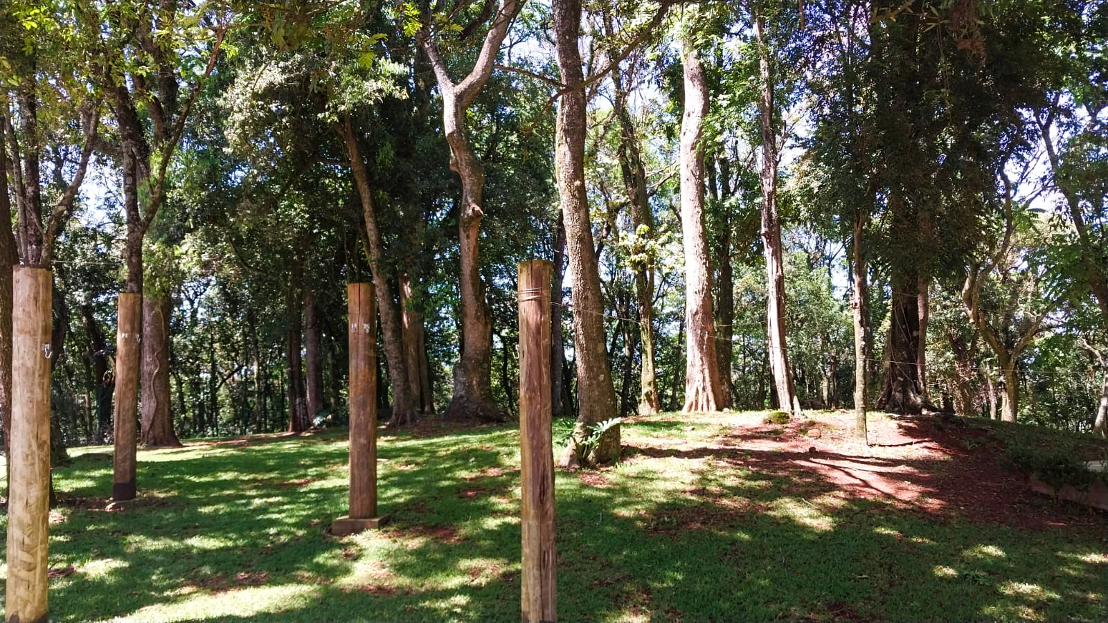 Galeria 6-0